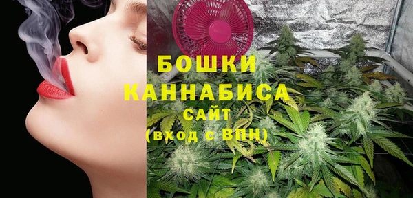 эйфоретик Осташков