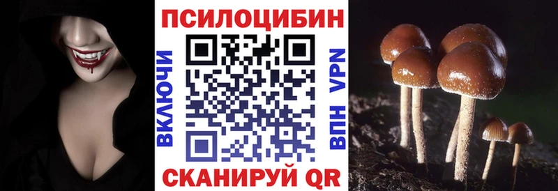 купить наркотик  Краснознаменск  Галлюциногенные грибы Cubensis 