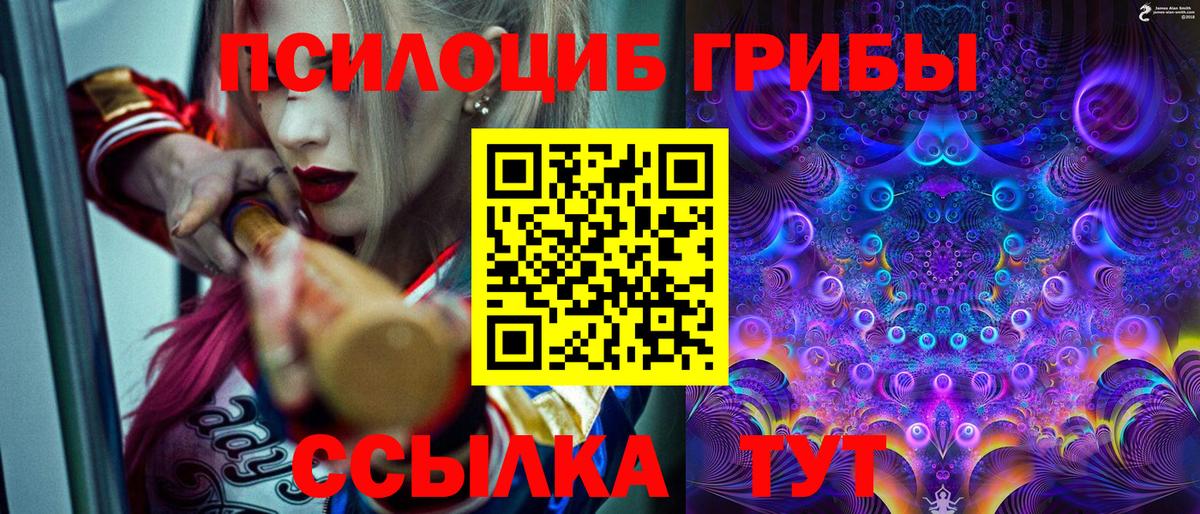 Краснознаменск  Псилоцибиновые грибы MAGIC MUSHROOMS  Вход с VPN  Псилоцибиновые грибы мицелий 