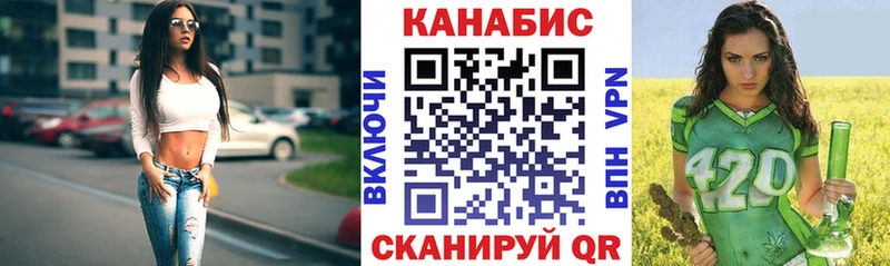 закладка  Краснознаменск  Канабис конопля 